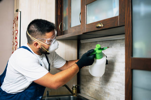Best Pest Removal Services  in Centre Grove, NJ