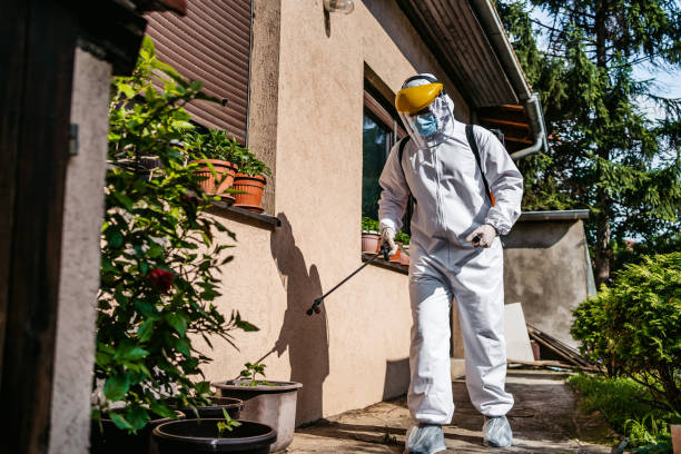 Best Flea Control Services  in Centre Grove, NJ