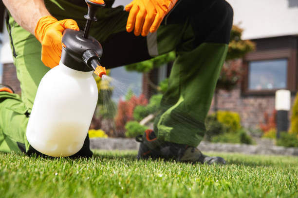 Best Flea Control Services  in Centre Grove, NJ