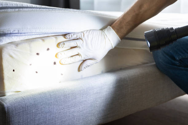 Best Pest Prevention Services  in Centre Grove, NJ