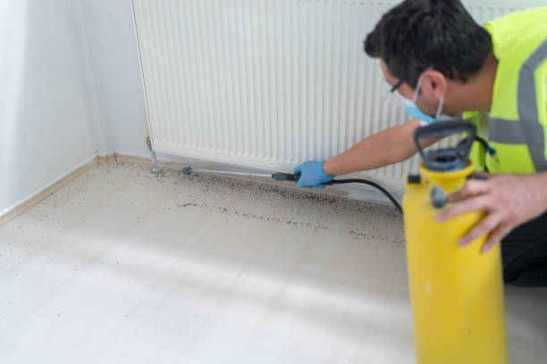 Best Wasp Removal Services  in Centre Grove, NJ