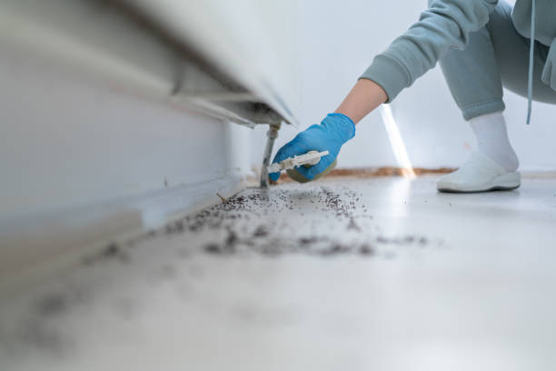 Best Residential Pest Control  in Centre Grove, NJ